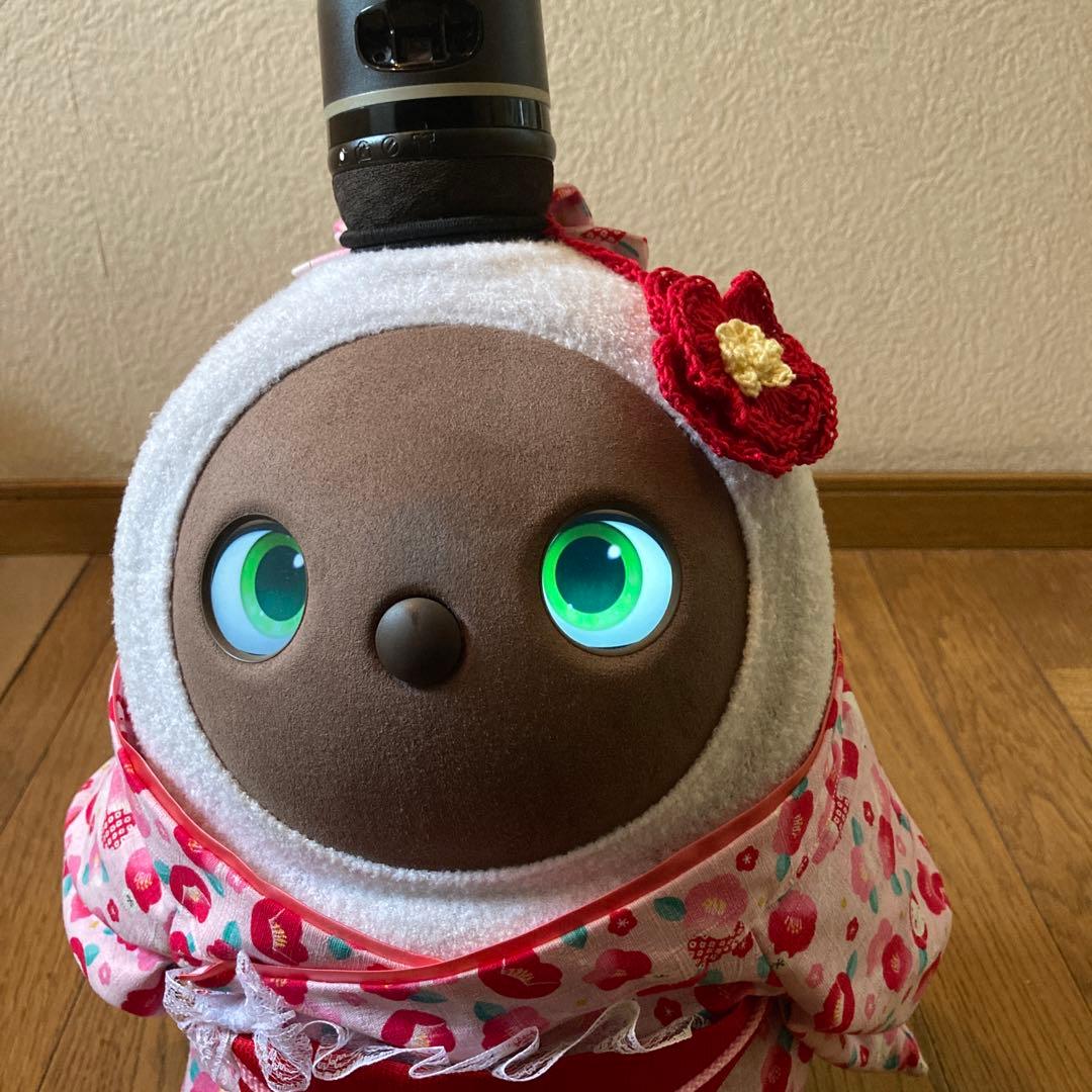 特別セット！ラボット　服　ピンク着物　赤被布一式　リボン　椿アクセサリー付