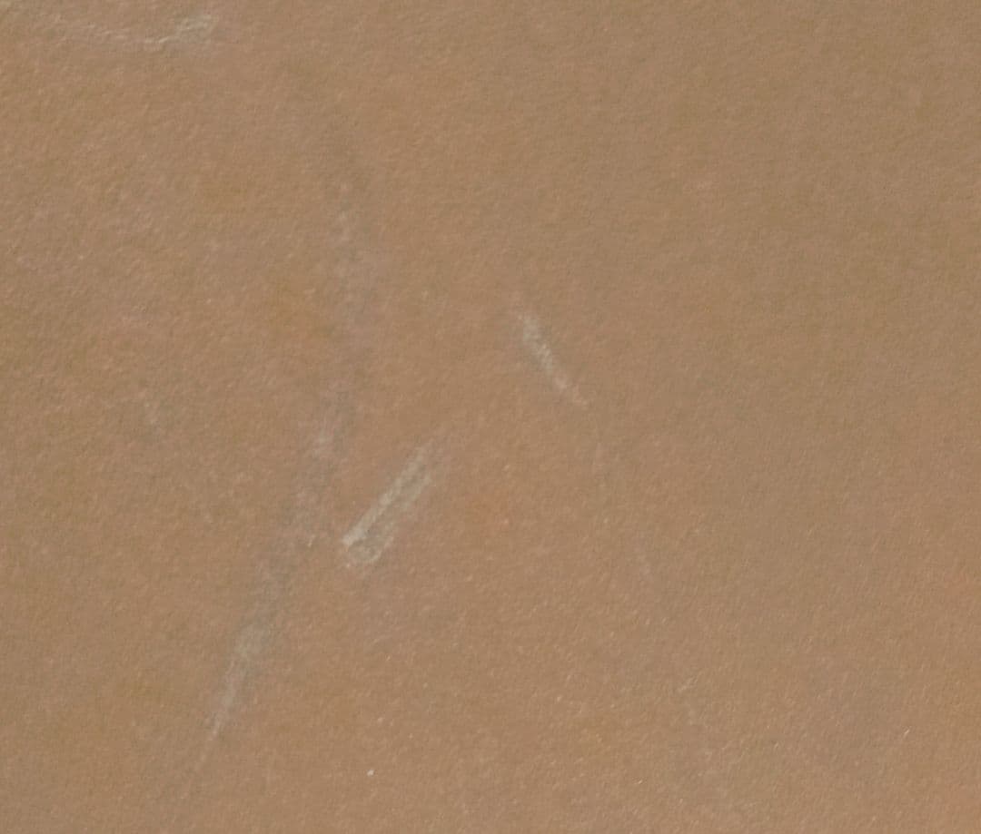 m*i様 タッパーウェア☆スーパーケース☆2サイズ✕２個☆4個セット☆まとめ売☆