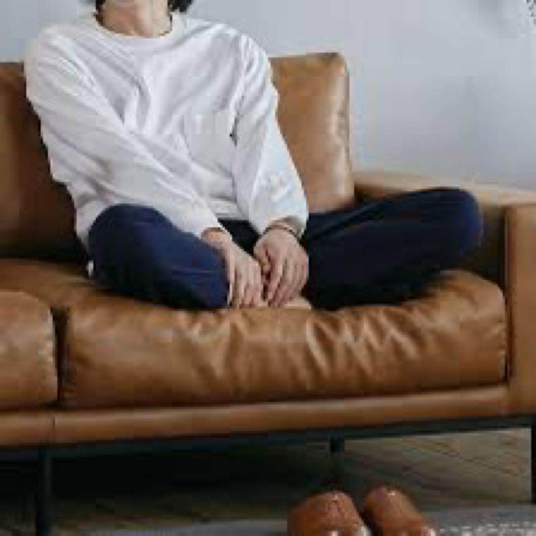 クラッシュゲート　プルート2.5人掛け　スーパーレザーテックス