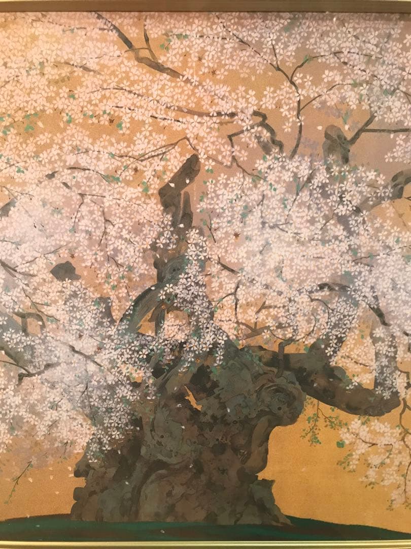 TUSAさま専用　中島千波「山高神代桜」 岩絵具方式複製画　作品証明シール有り