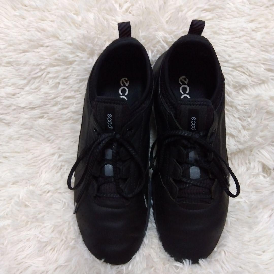 定価38500円 ecco エコー ゴルフシューズ スパイクレス バイオム