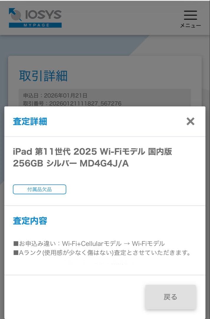iPad 2025年購入　第11世代　256GB Wi-Fi シルバー