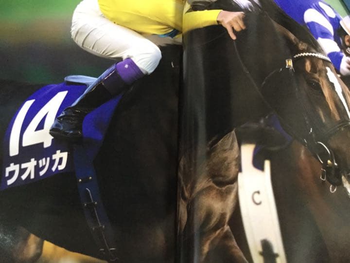 優駿  2008年  12月号   ウオッカ＆ダイワスカーレット  天皇賞 秋