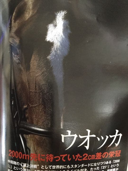 優駿  2008年  12月号   ウオッカ＆ダイワスカーレット  天皇賞 秋