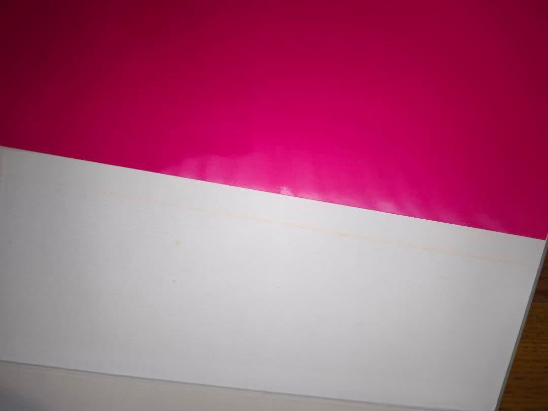 MONKEY PUNCH CUTIES 美女画集