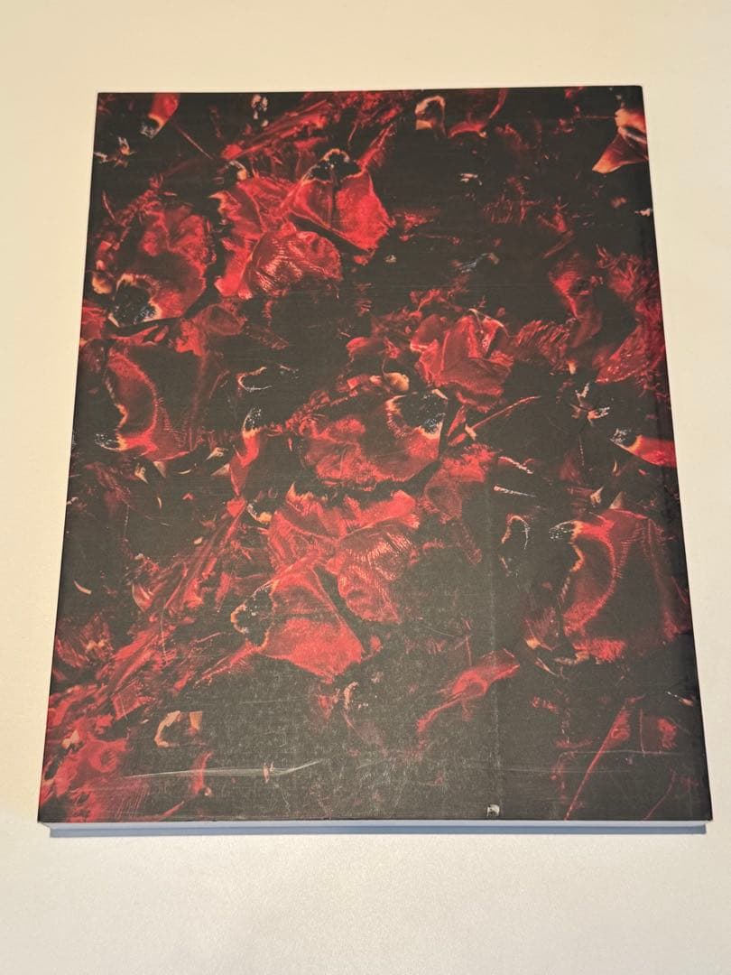 [希少] 中川幸夫　ガラス・書　いのちのかたち　Nakagawa Yukio