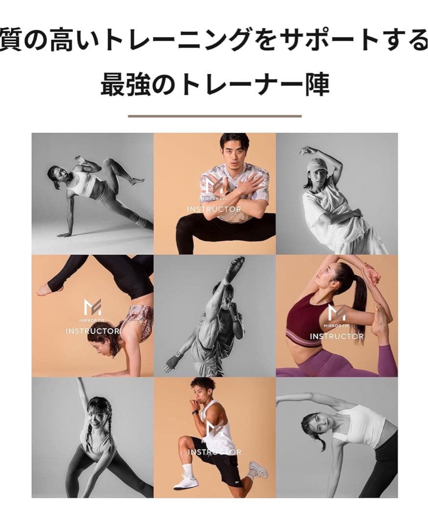 【送料込み価格/美品】ミラーフィット　mirror fit