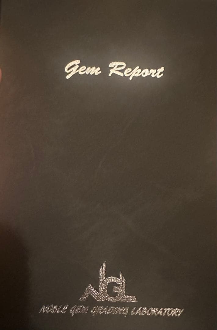 BACKLASH ブラックレザー ウォレットチェーン