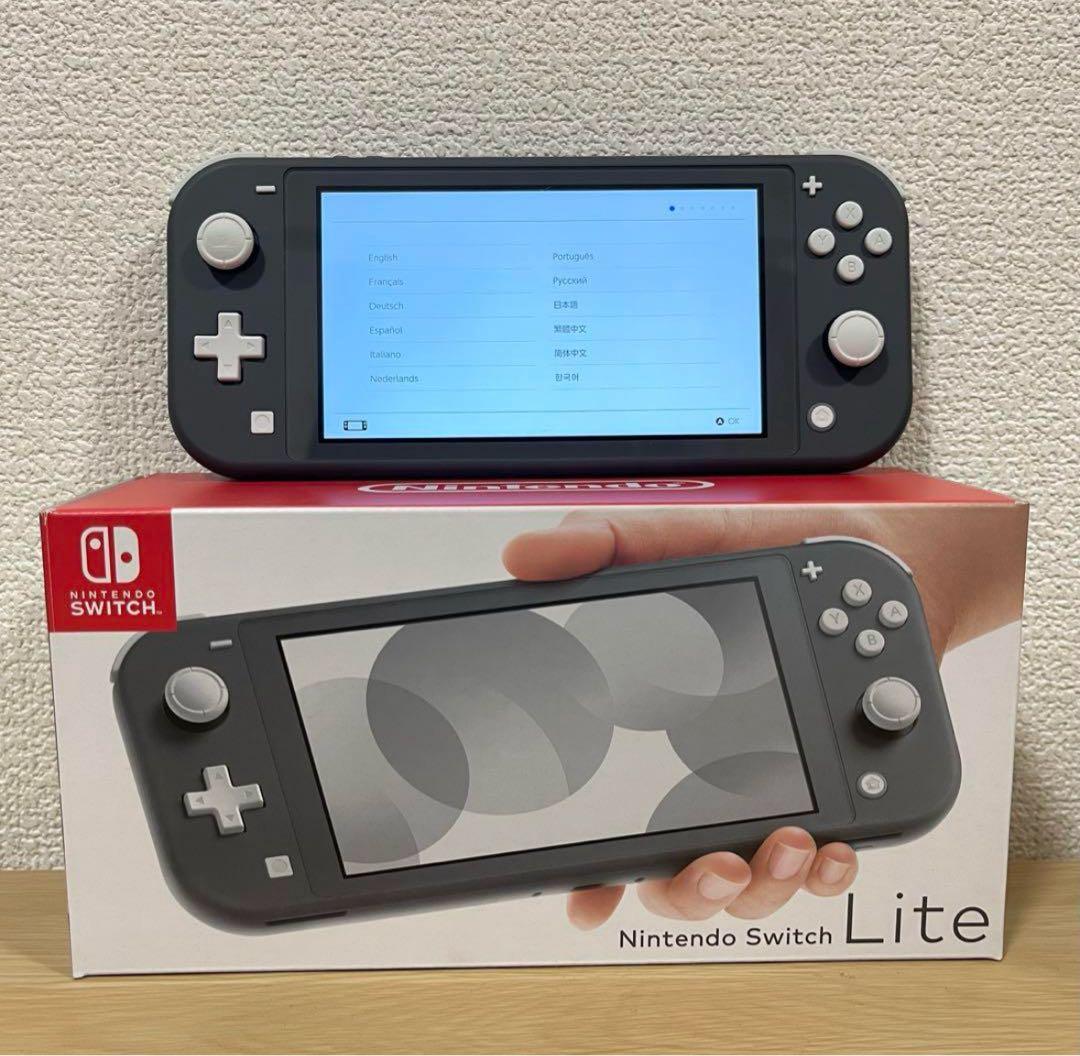 【Beginnerさん専用】Nintendo switch lite本体