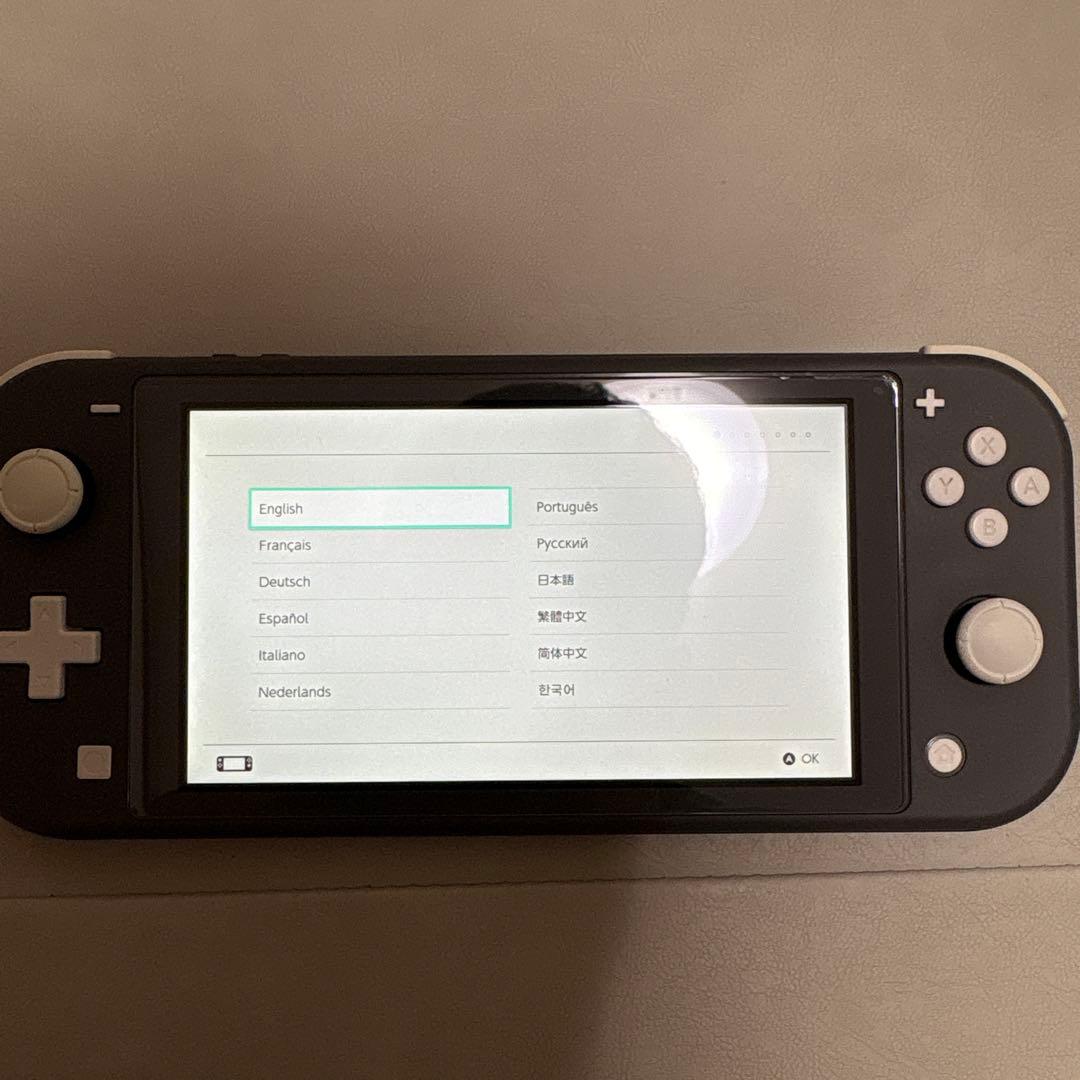Nintendo Switch Lite グレー ケース付き