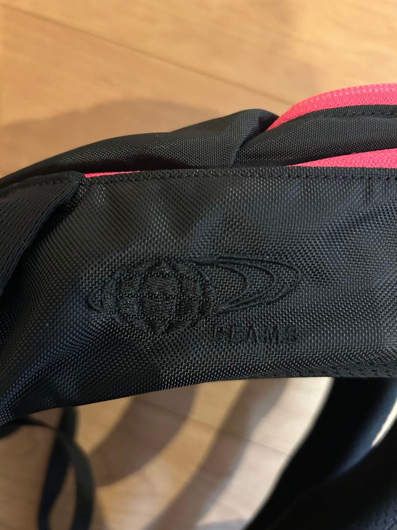 【新品未使用】アークテリクス×BEAMS 別注 マンティス26 希少カラー