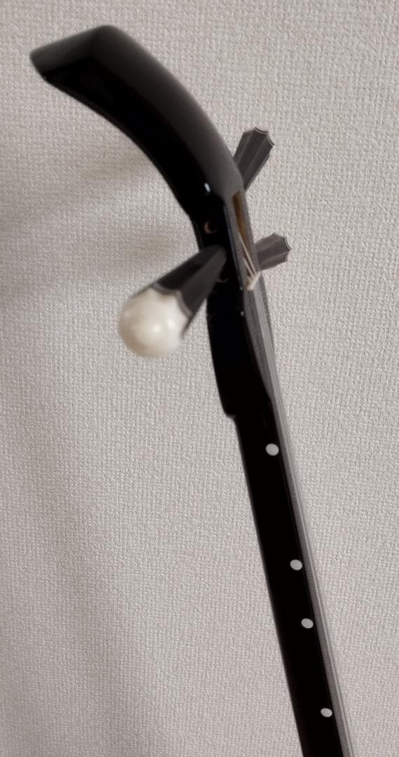 沖縄 三線 強化張り ケース付き