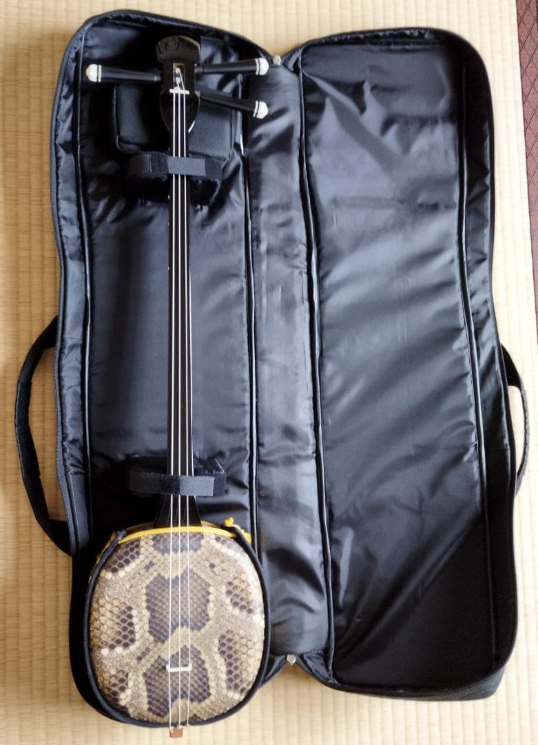 沖縄 三線 強化張り ケース付き