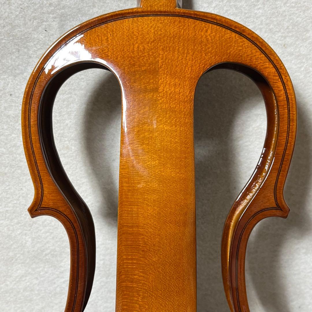 Carlo giordano エレキバイオリン EV-202 カルロジョルダーノ