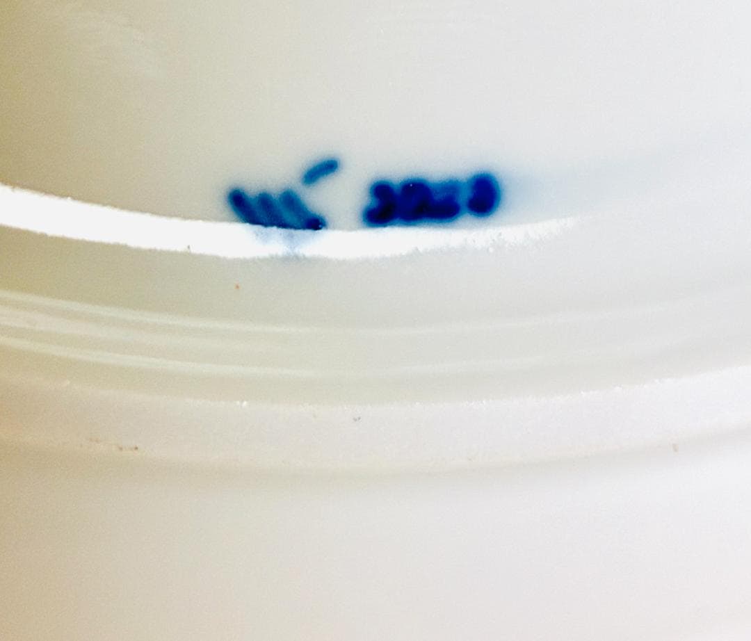 マイセン MEISSEN ブルーオニオン 22cmプレート 定価55000円