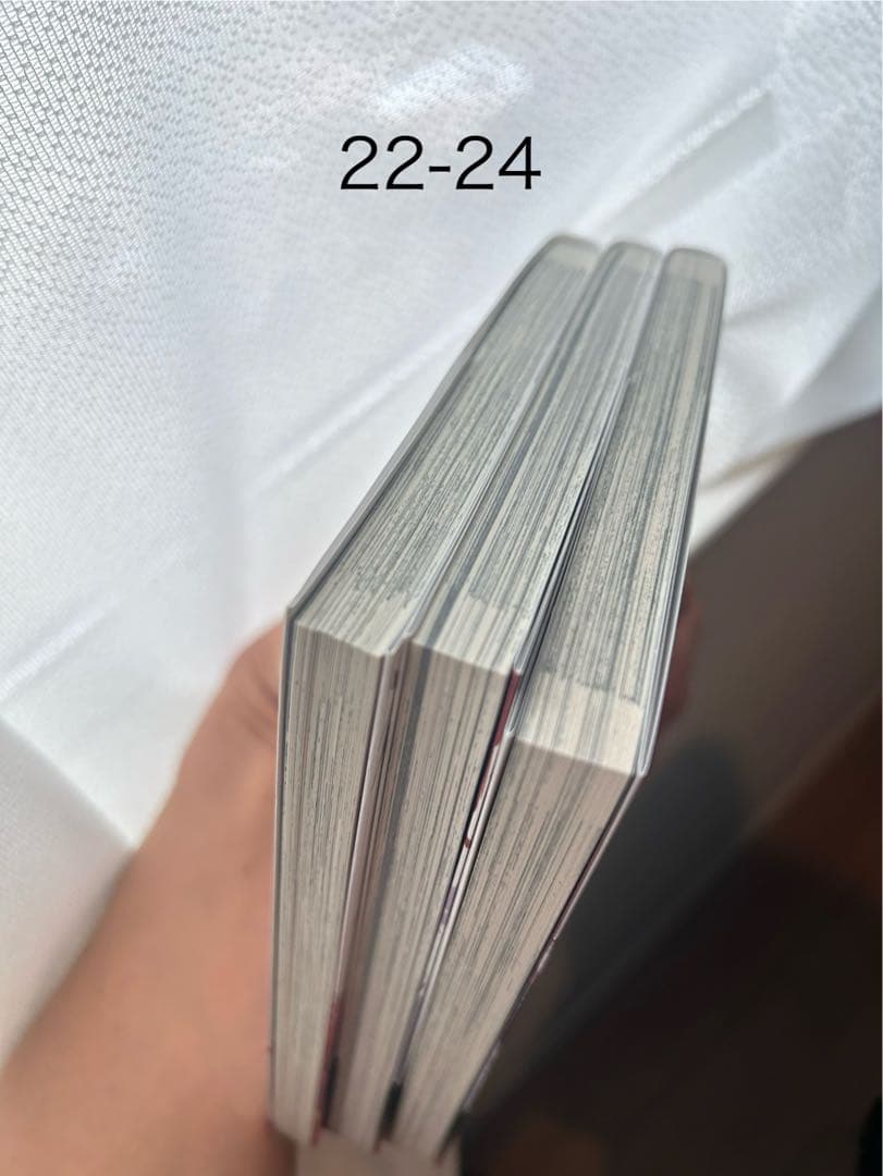 文豪ストレイドッグス 1-24巻 特製収納ボックス入り