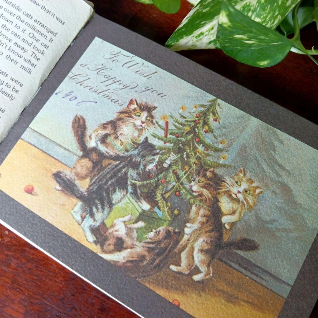 洋書古書　希少　猫の国　アート　画集　ポストカード　イラスト　ヴィンテージ