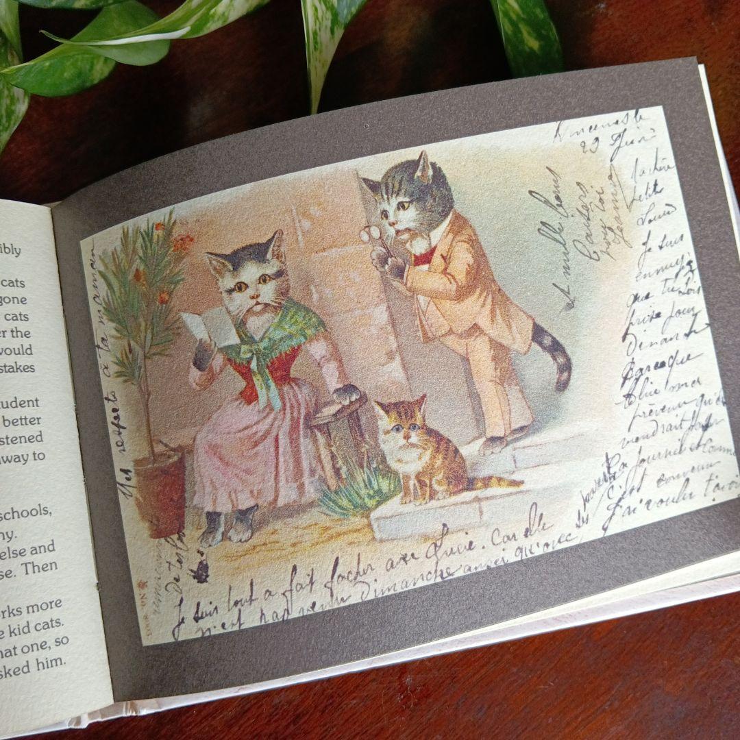 洋書古書　希少　猫の国　アート　画集　ポストカード　イラスト　ヴィンテージ