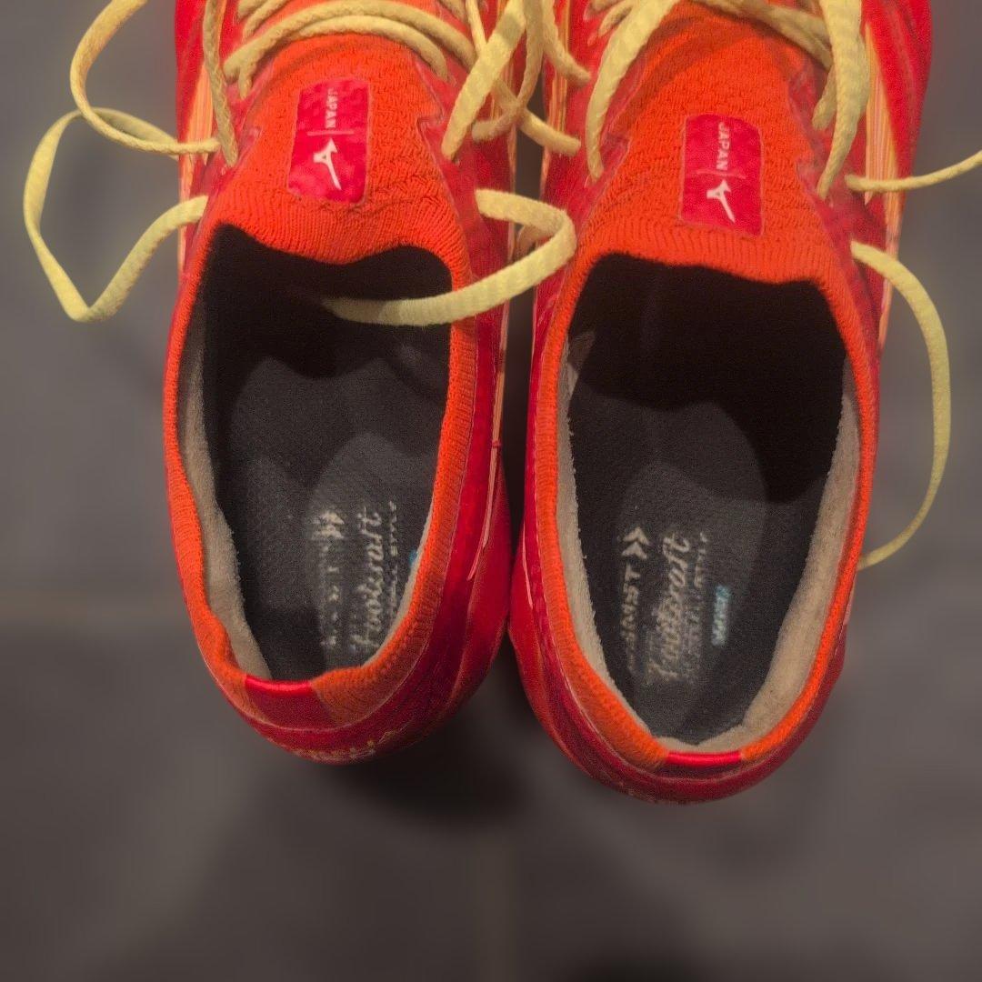 モレリアネオ4β　24cm　フェアリーコーラル×ボルト