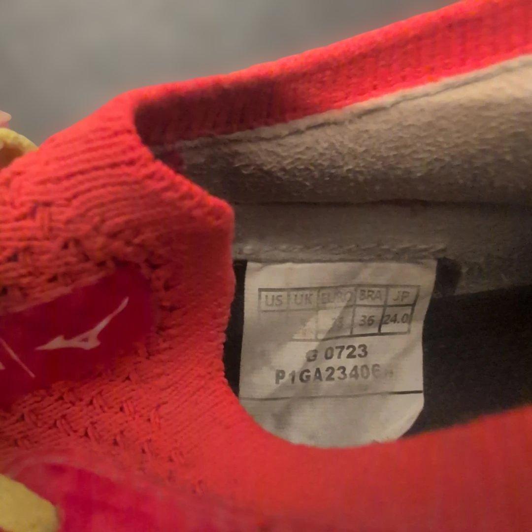 モレリアネオ4β　24cm　フェアリーコーラル×ボルト