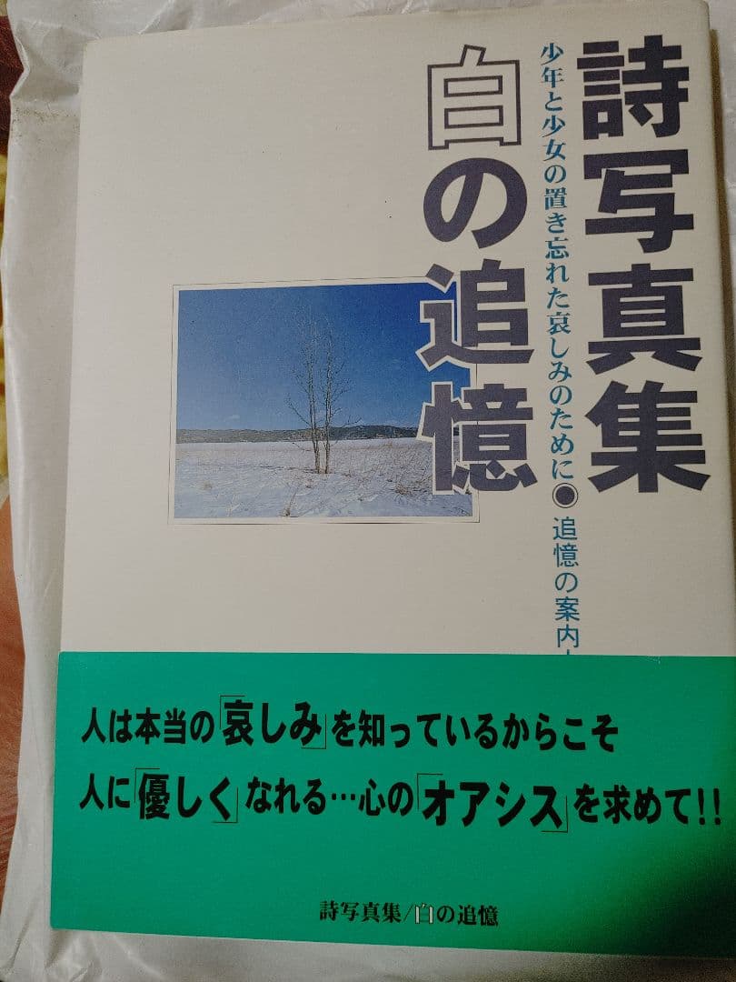 【新古美品】堀江由衣 詩写真集 白の追憶
