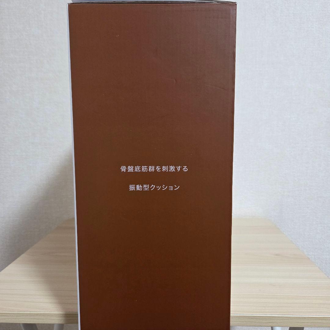 【美品】ココチモ メディブルホット