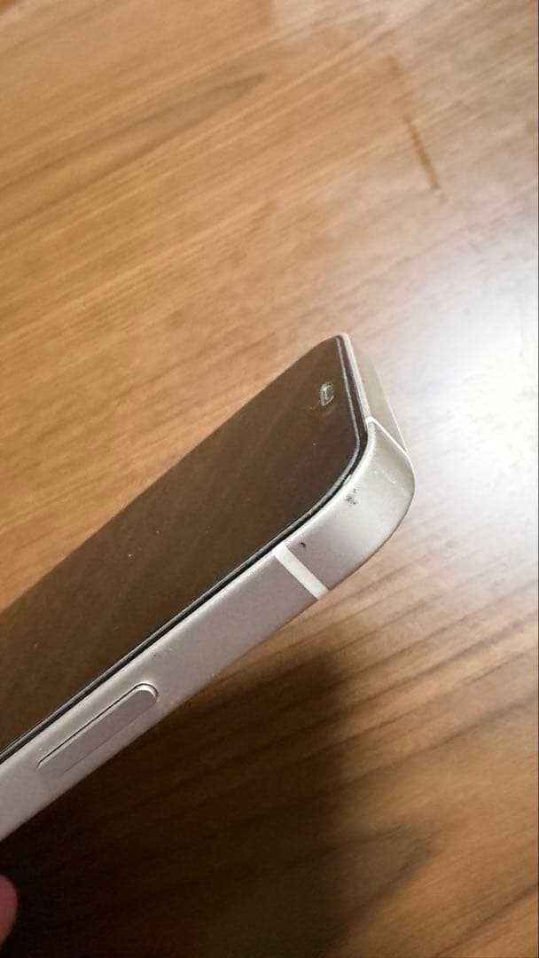 Apple iPhone 12 本体 充電ケーブル付き