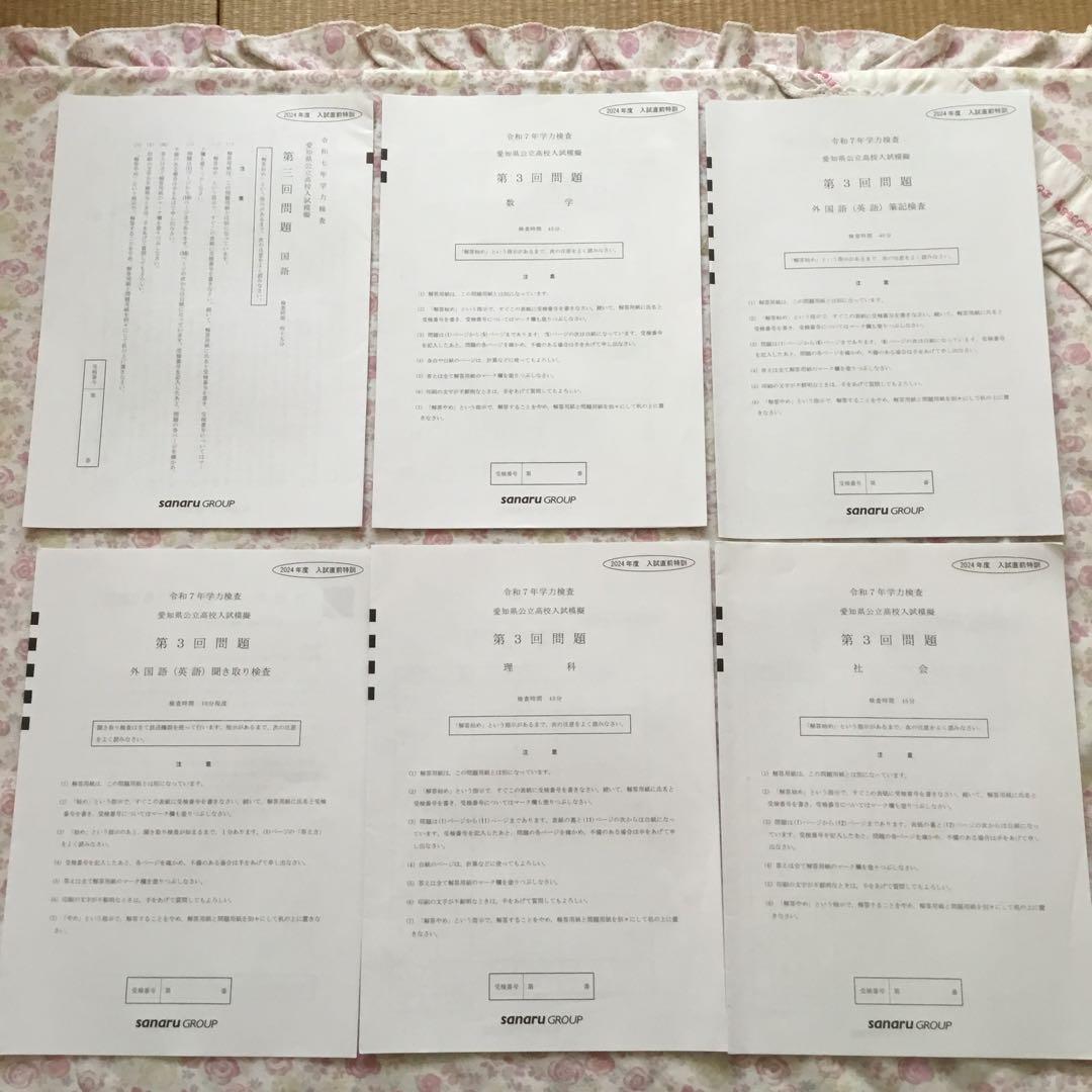 サナル　愛知県公立高校入試模擬　2024年度　８回分