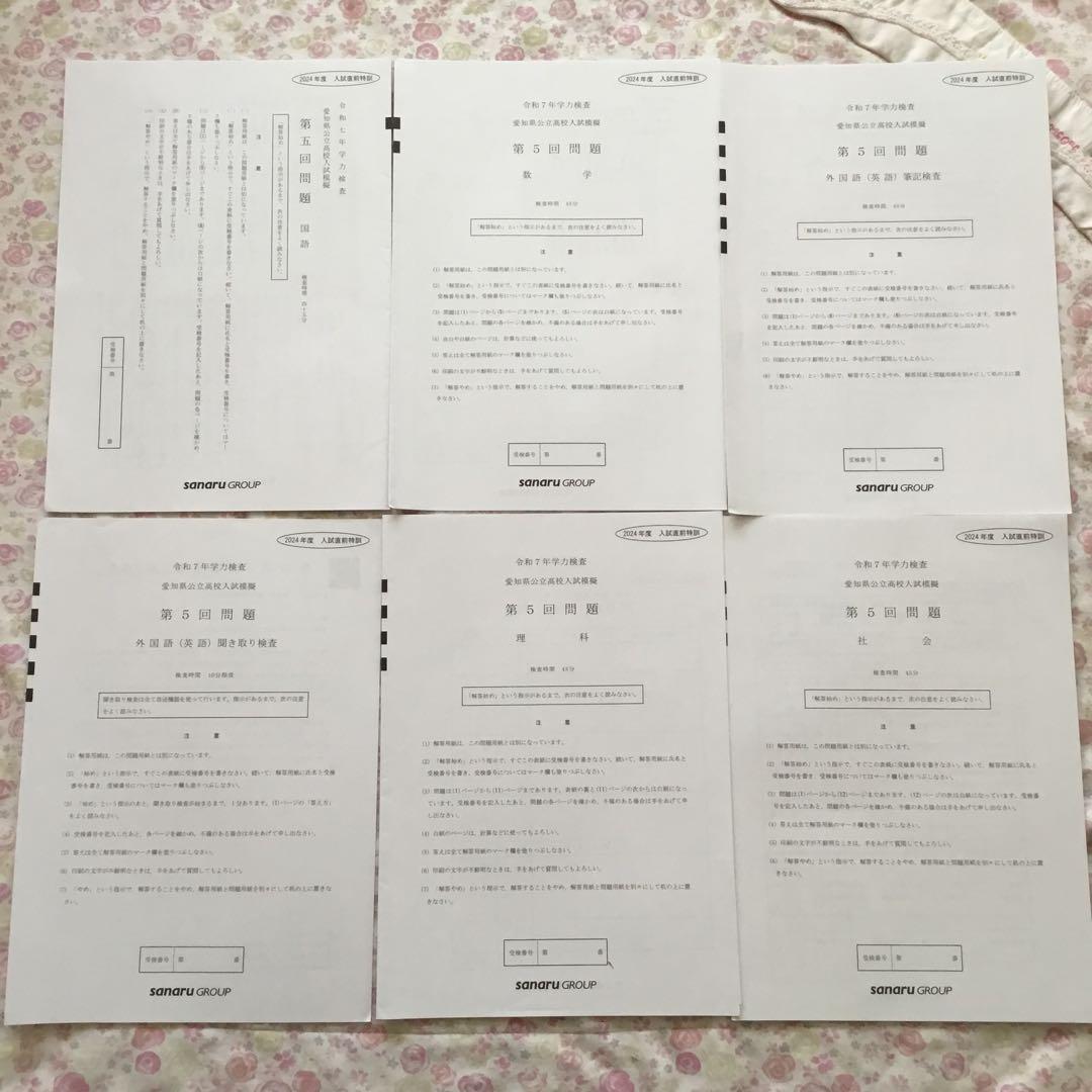 サナル　愛知県公立高校入試模擬　2024年度　８回分