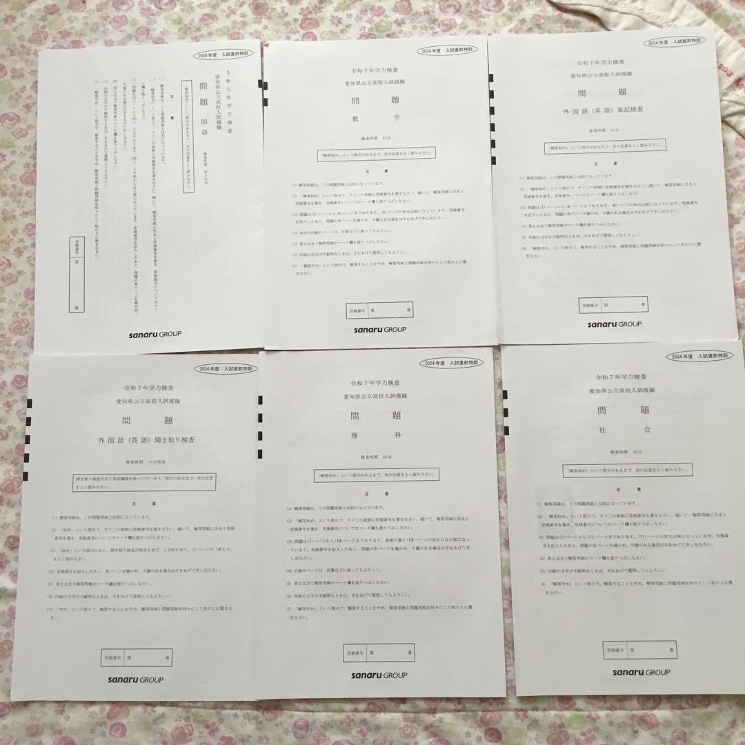 サナル　愛知県公立高校入試模擬　2024年度　８回分