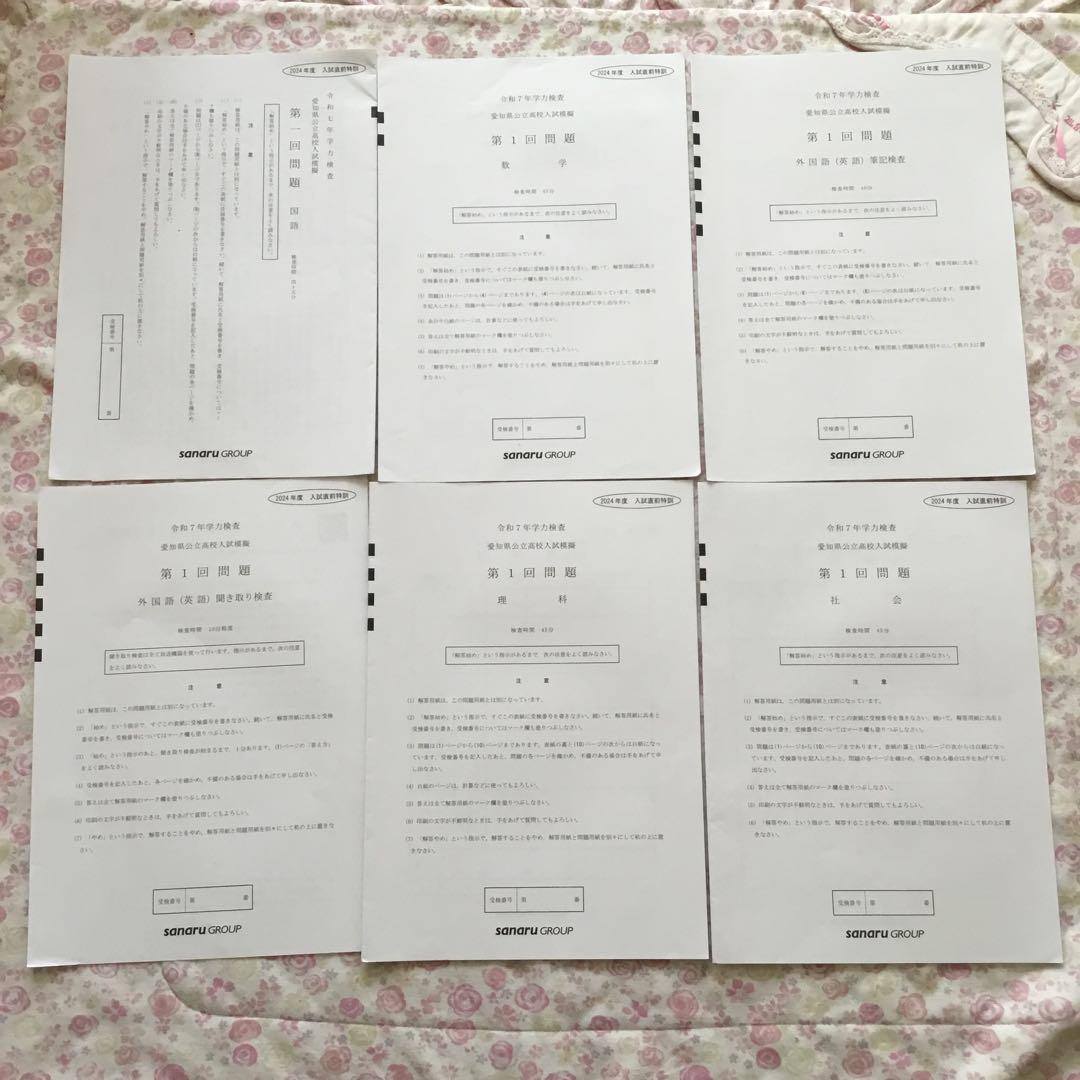 サナル　愛知県公立高校入試模擬　2024年度　８回分