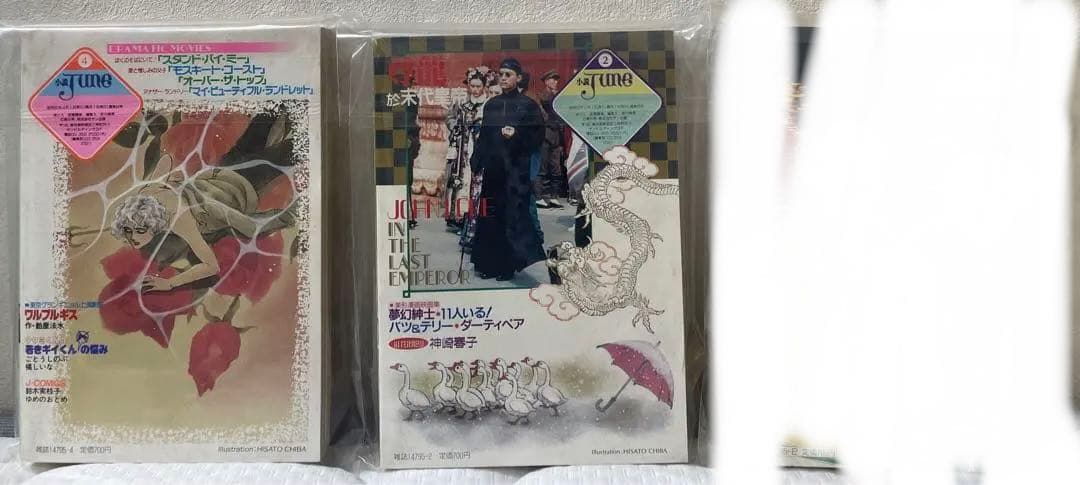 小説june ジュネ　2冊　まとめ売り　雑誌