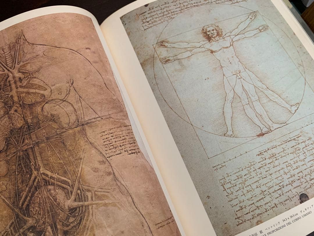 1974 LEONARDO DA VINCI 世界の名画