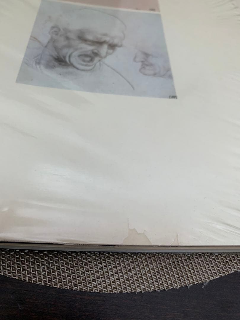 1974 LEONARDO DA VINCI 世界の名画