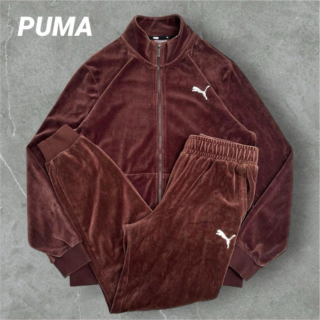 【人気カラー】PUMA セットアップ　ベロア　ロゴ刺繍　ブラウン　美品