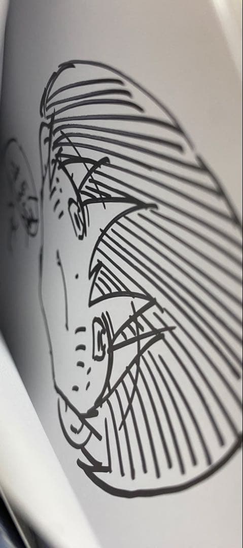 ボーイッシュ彼女が可愛すぎる2巻 直筆イラスト入りサイン本 牛乳麦ご飯