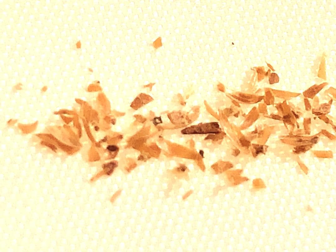 【 明~清代 银挂件 】　ペンダント　広州市文物　中華古玩