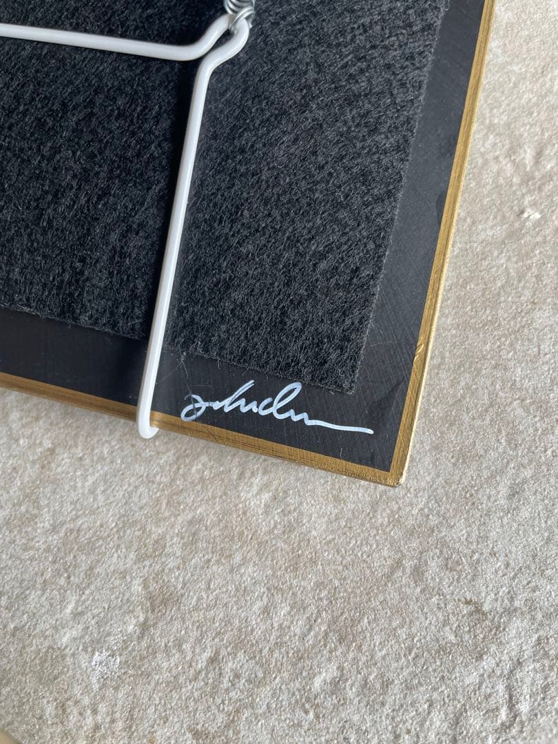 ジョンデリアン　トレイ　TRAY Bresil