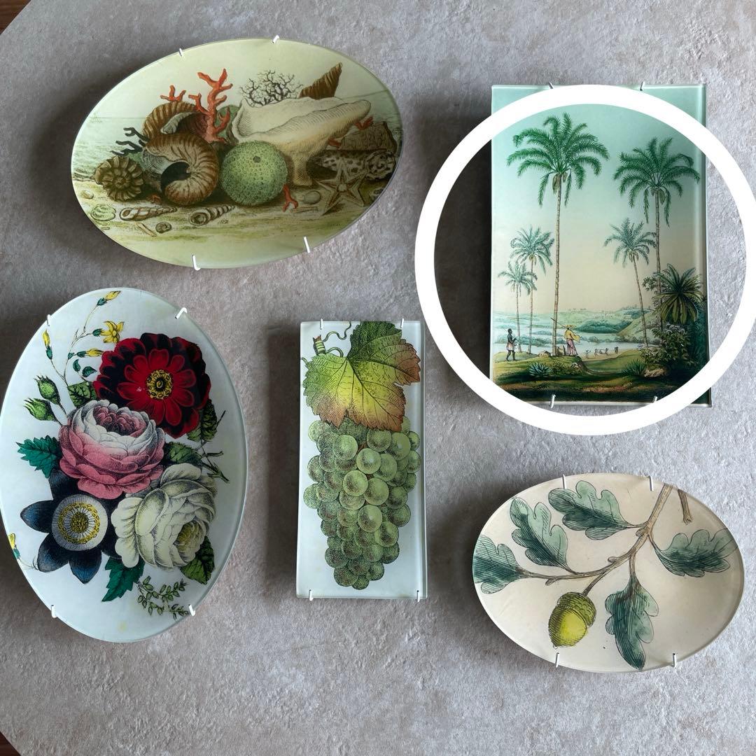 ジョンデリアン　トレイ　TRAY Bresil