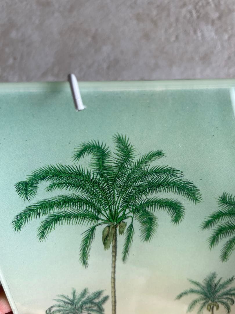 ジョンデリアン　トレイ　TRAY Bresil