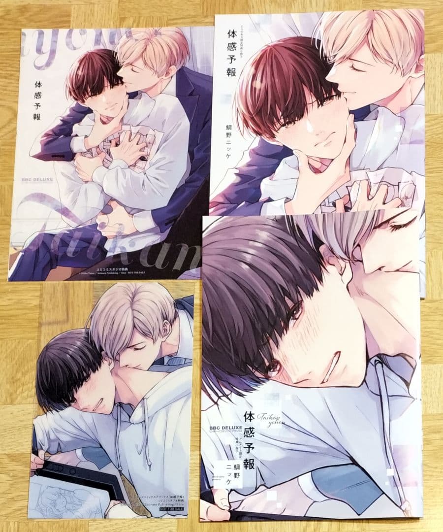 体感予報　特典のみ　小冊子 2種　リーフレット　クリアカード