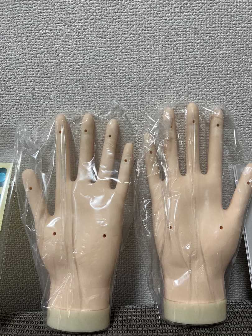 JNA認定ハンドモデル