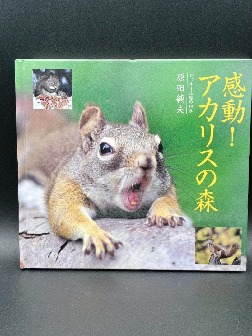 感動！アカリスの森　ロッキー山脈の四季