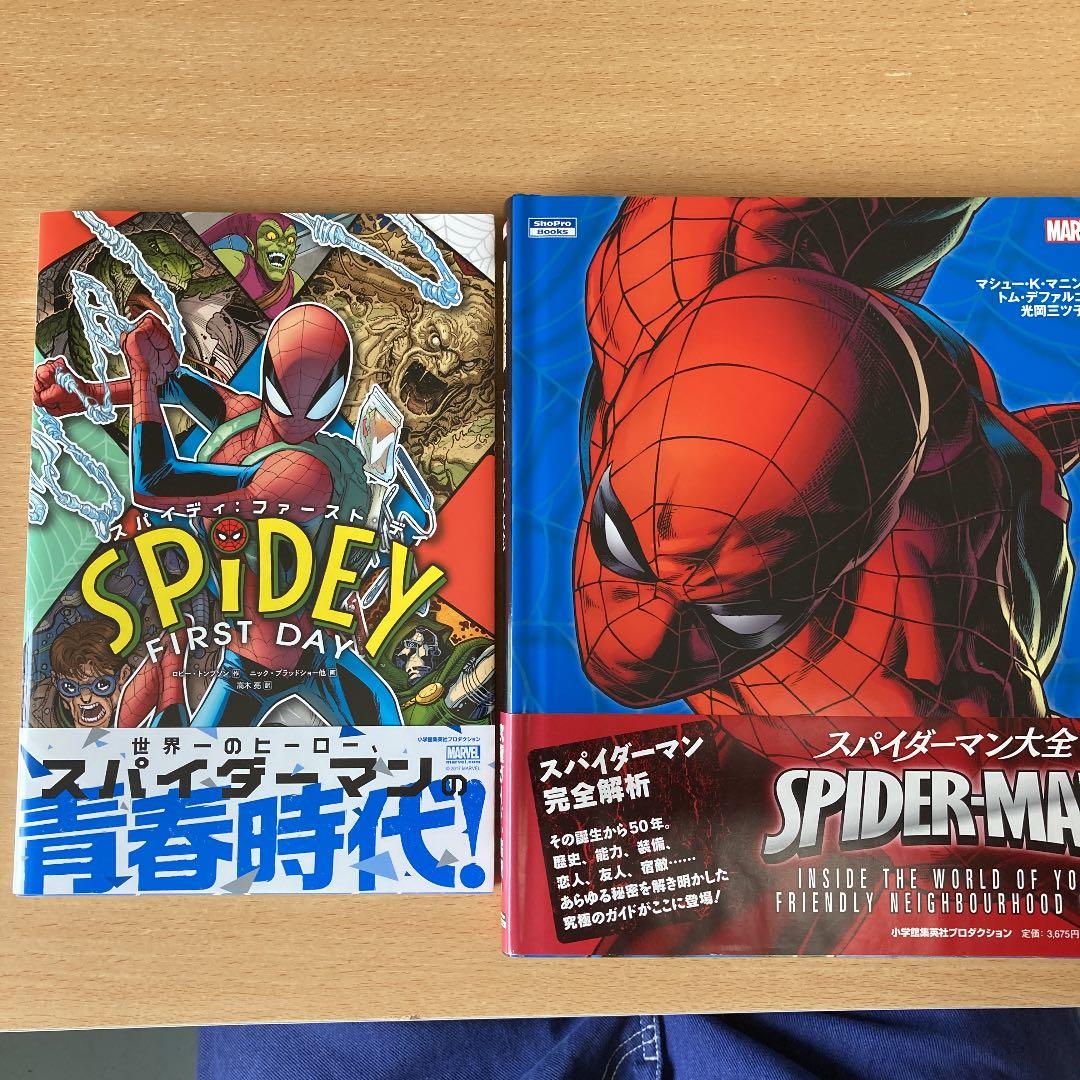 スパイダーマン、デッドプール　アメコミセット　マーベル