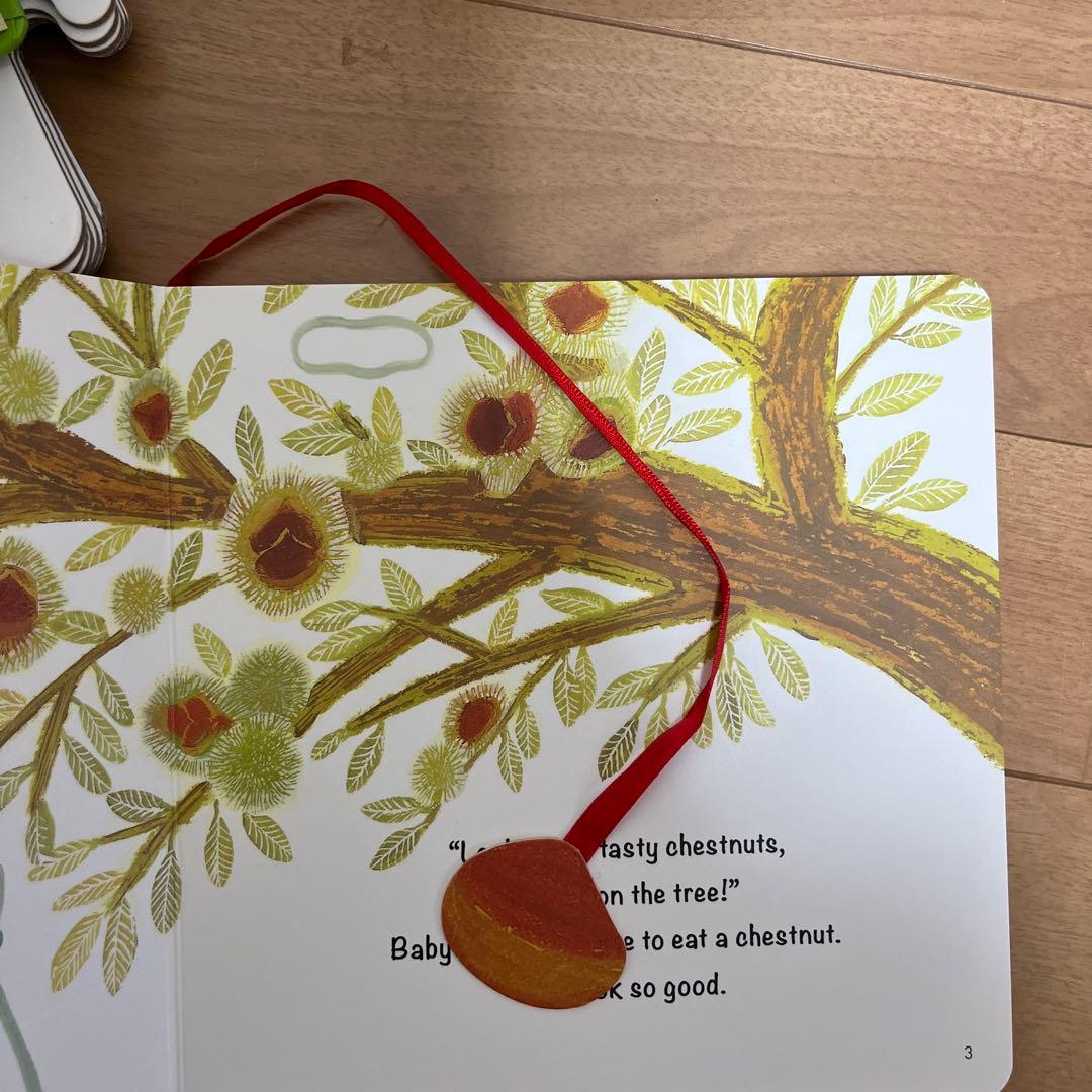 Baby All　数学&科学セット　全40冊　マイヤペン対応