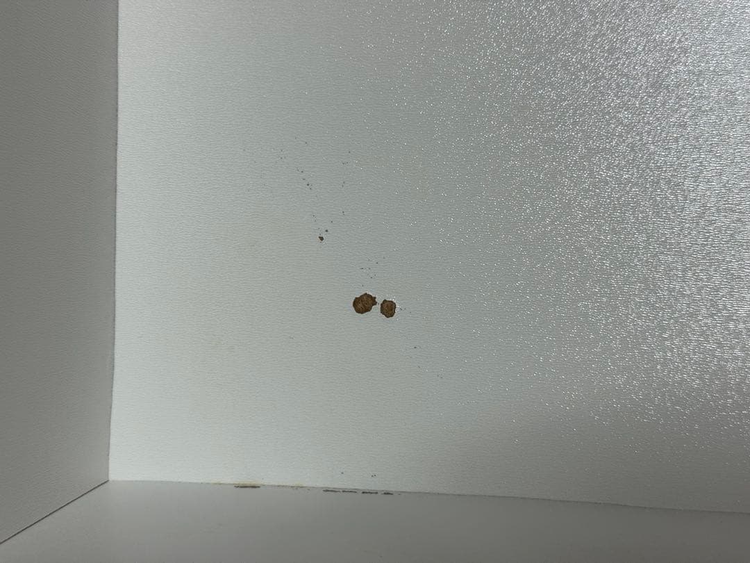 【HIDE】ニトリ　食器棚　リガーレ　幅121cm