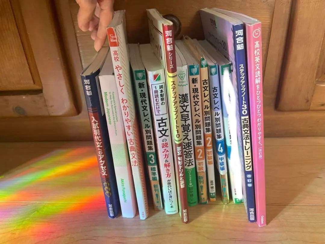 現文、古文、漢文、英語、参考書