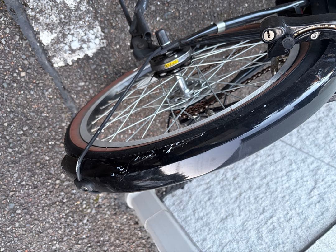 PELTECH 折りたたみ電動アシスト自転車 TDN-206L 12AH