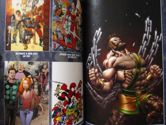 アート・デザイン・音楽 Marvel 75th Anniveresary Nycc Signing