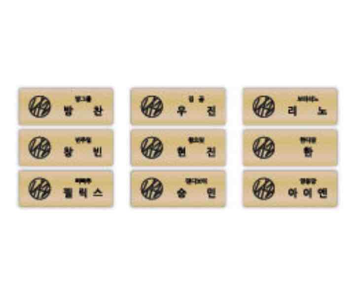 Straykids I AM YOU 名札 アイエン ジョンイン I.N